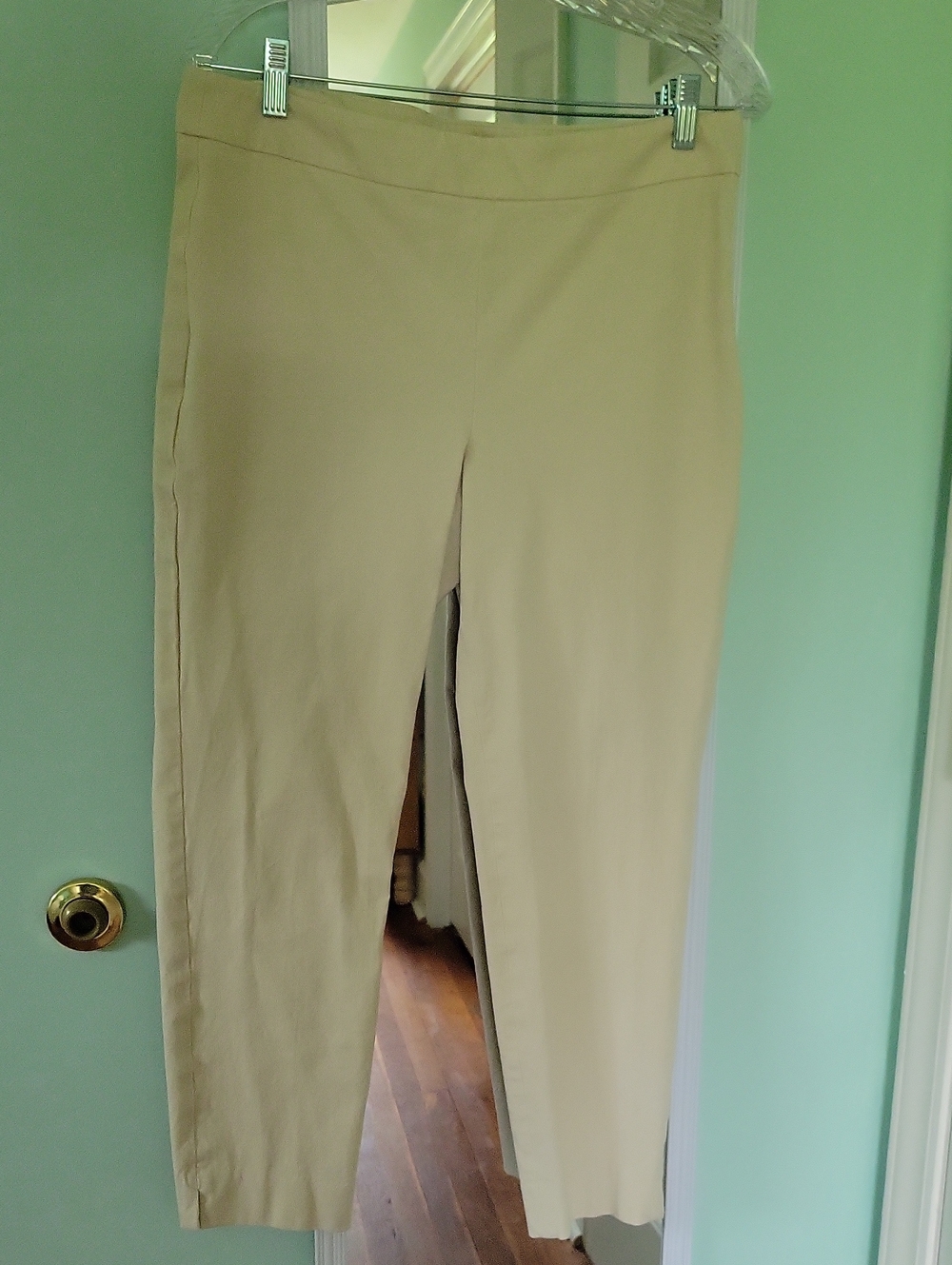 Talbots Chatham Ankle Pants in Light Beige Size 10P